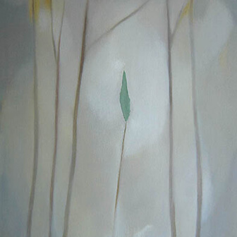 Forest of the Memories